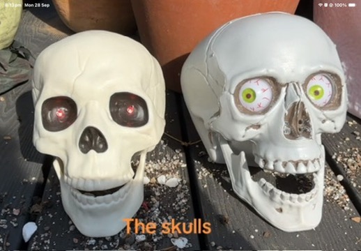 The Skulls
