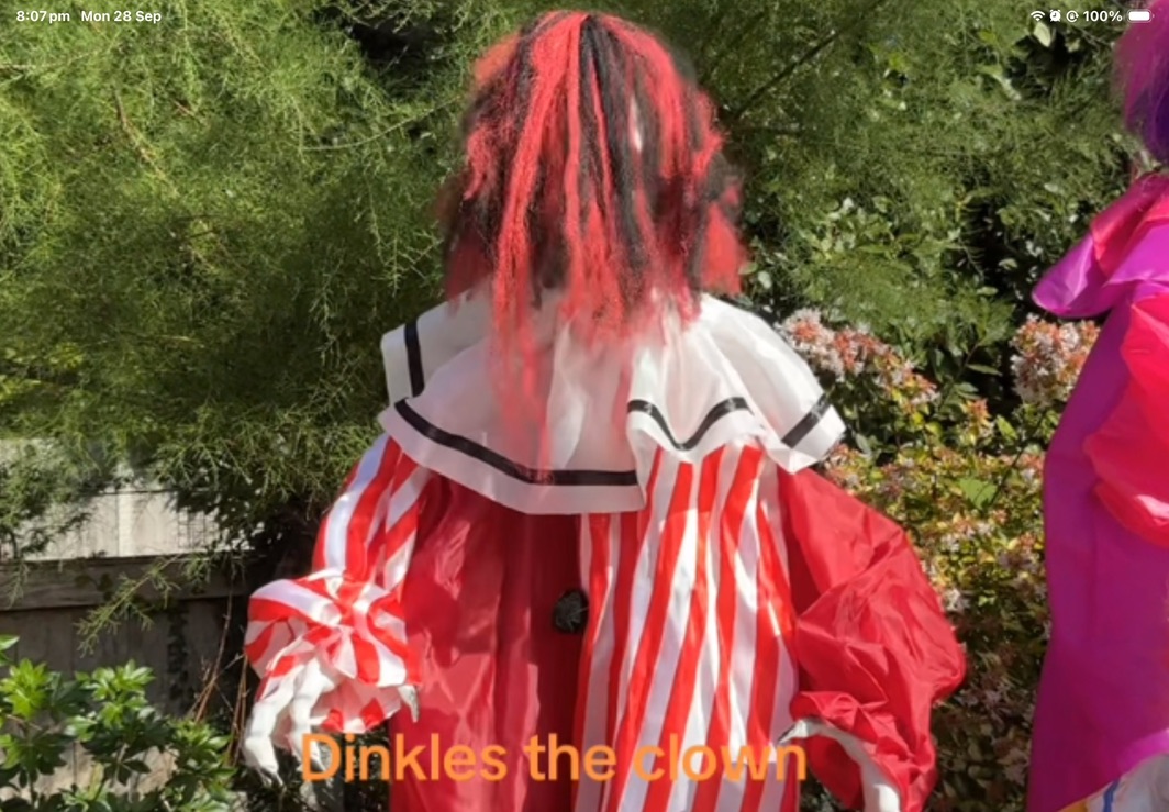 Dinkles the Clown