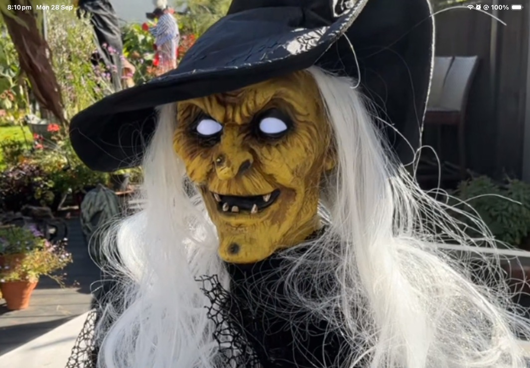 The Old Witch
