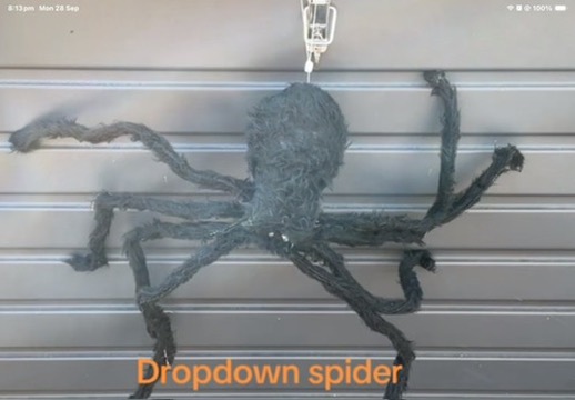 The Dropdown Spider