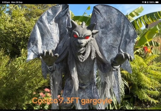 The Gargoyle