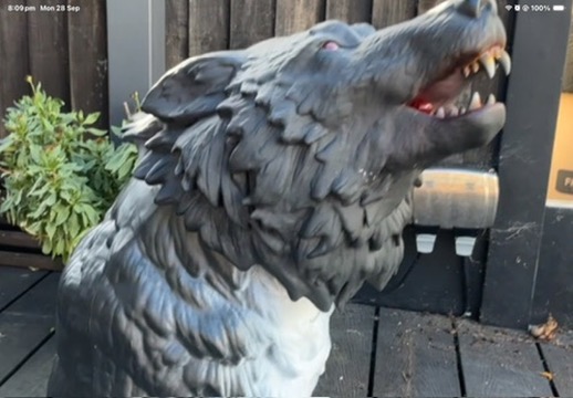 The Howling Wolf