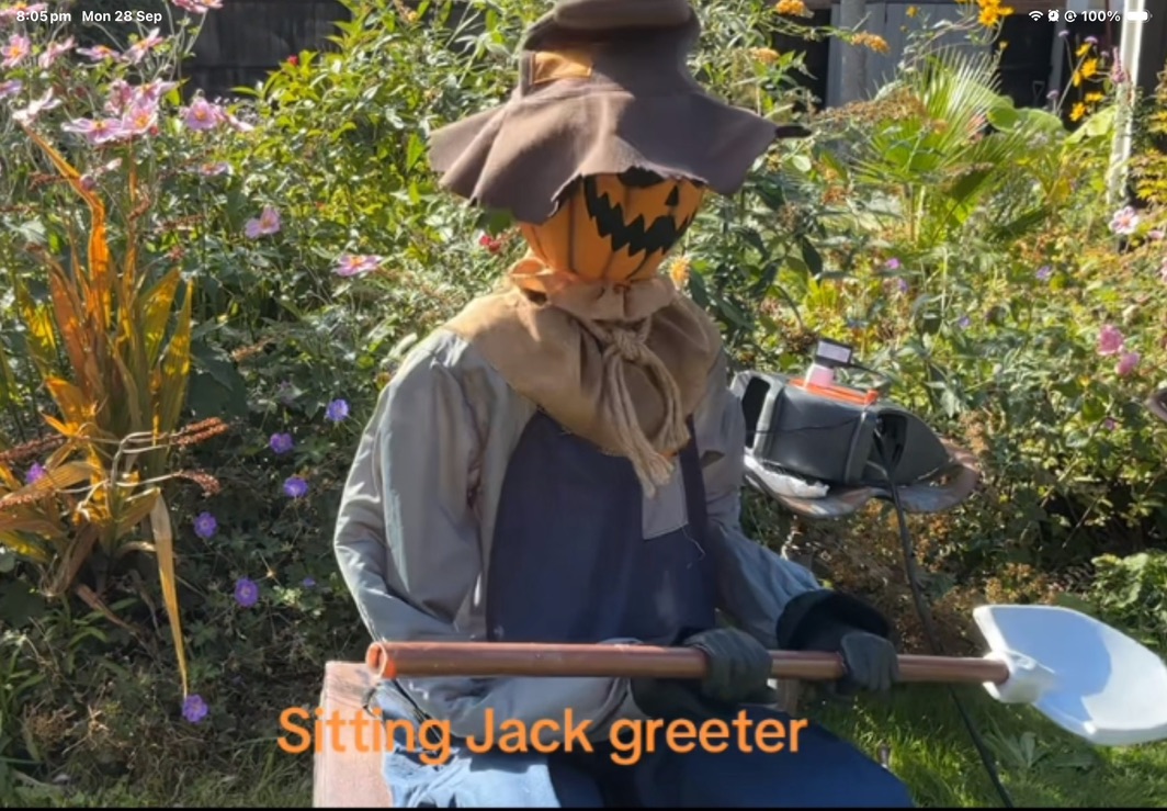 Sitting Jack