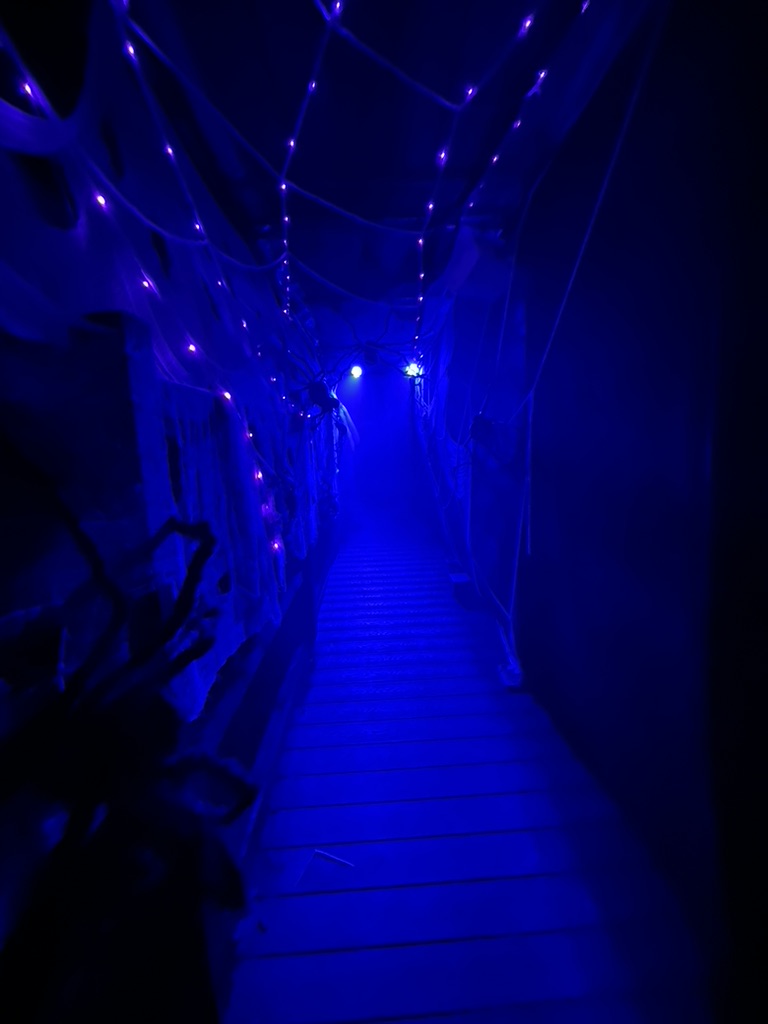 The blue-lit cobweb tunnel
