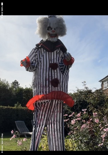The Striped Clown