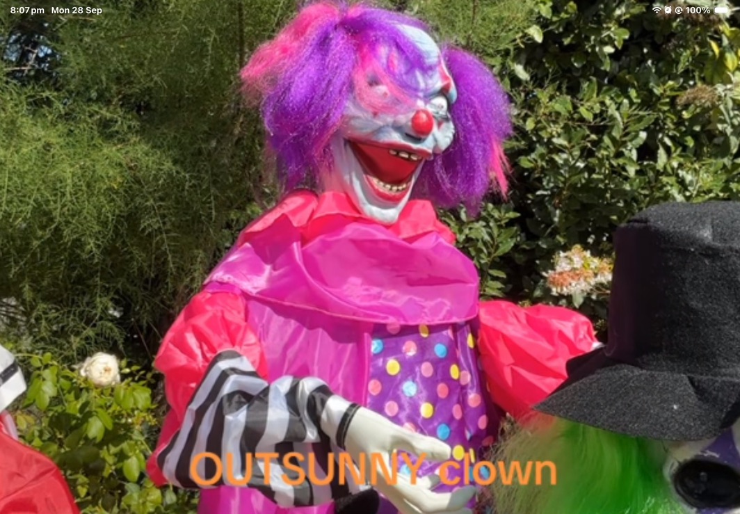 The Polka Dot Clown