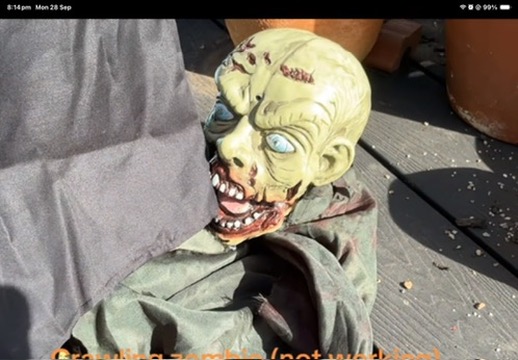 The Crawling Zombie
