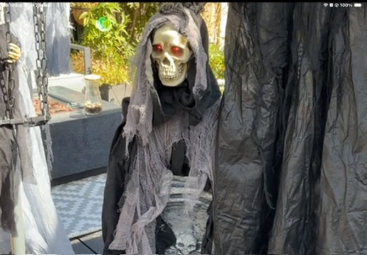 The Shrouded Reaper