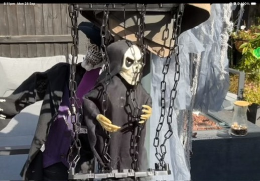 The Caged Skeletons