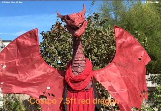 The Red Dragon