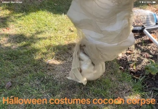 The Cocoon Corpse