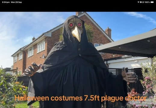 The Plague Doctor